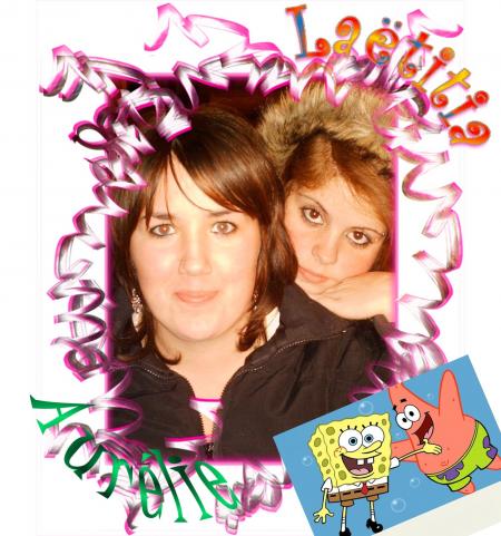 les deux amis de la vie ok 